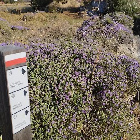 度假居 Little Stone House Near The 圣约阿尼斯