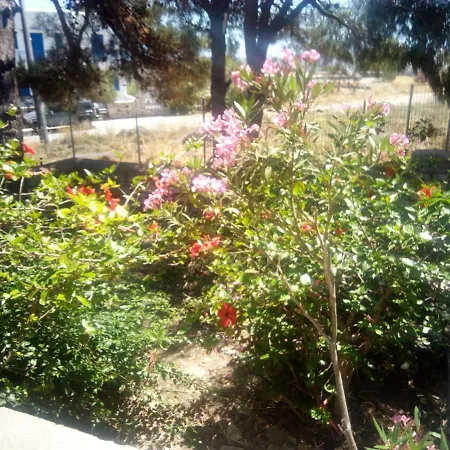 Little Stone House Near The Agios Ioannis (Tinos)